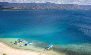 flores overland