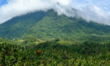 birding tours