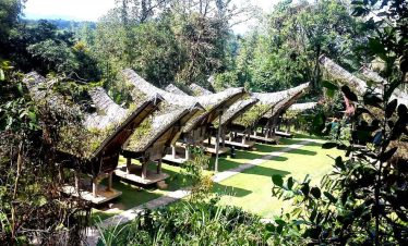 toraja culture