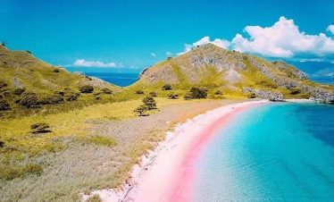 explore komodo