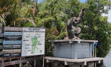 borneo eco tour