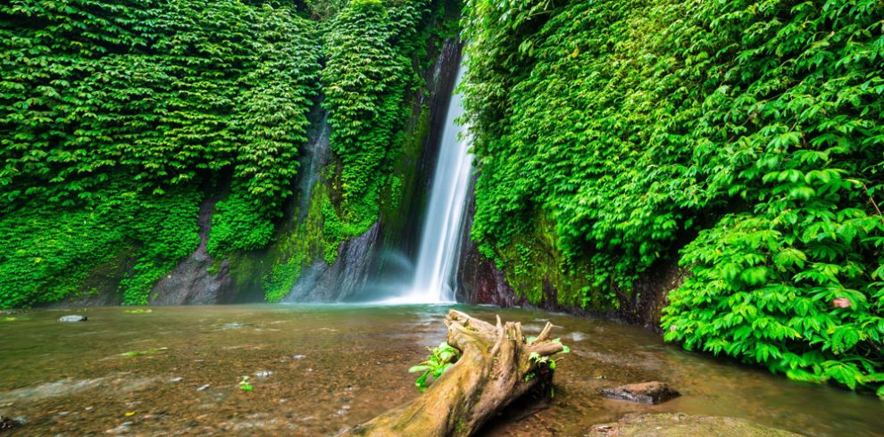 waterfall jungle trek