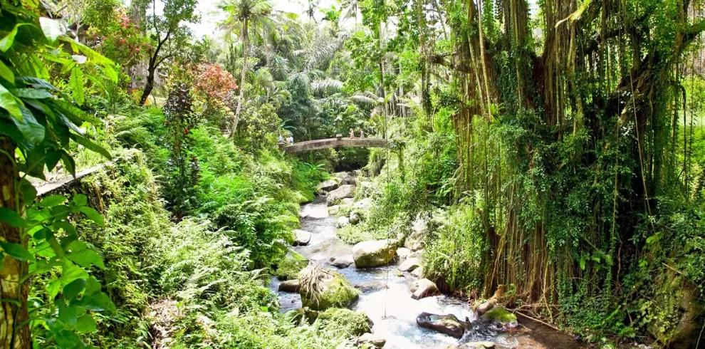 bali jungle trekking