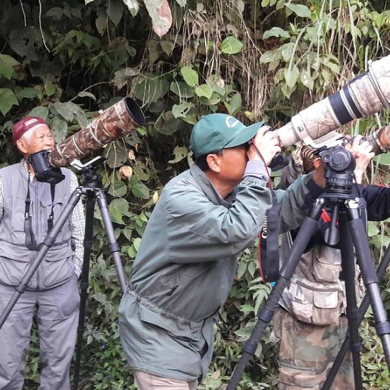 Birding & Photography
