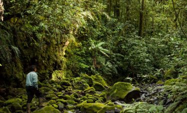 Explore Sumatra’s Wilderness