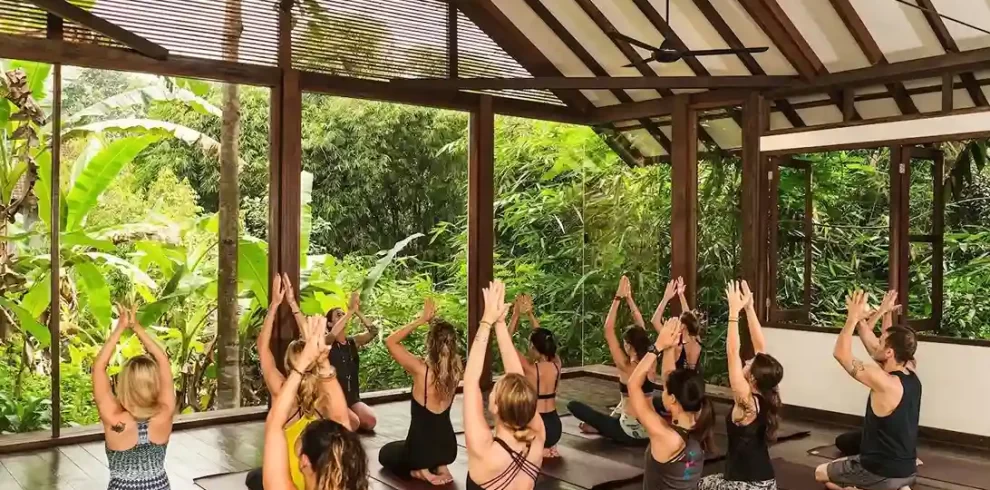 bali wellness