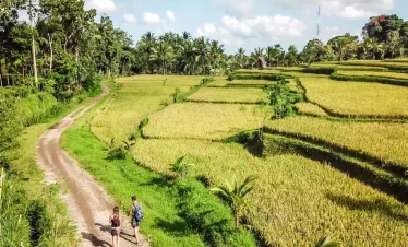 Village Cycling Tour