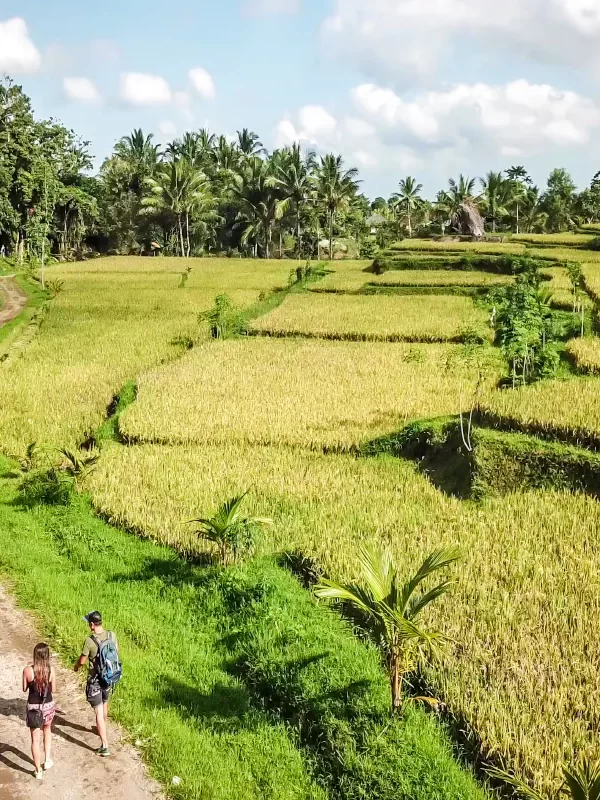 Village Cycling Tour