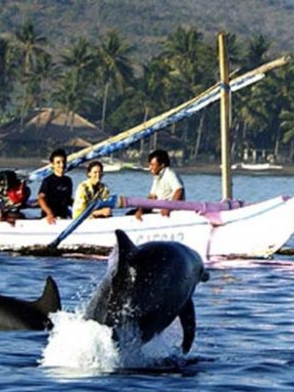 watch dolphin in lovina bali