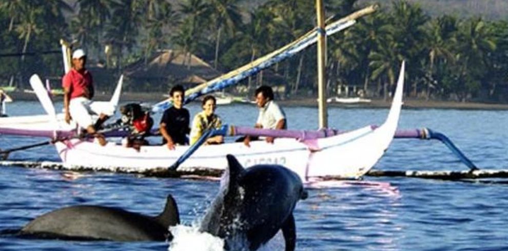 watch dolphin in lovina bali