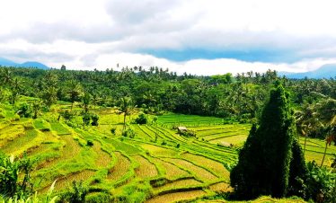 kalasta trekking in tenganan village
