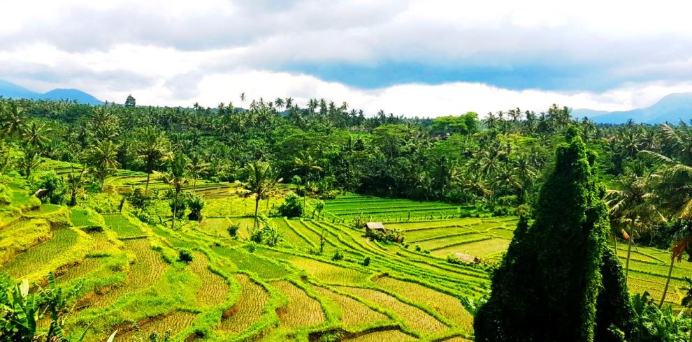 kalasta trekking in tenganan village