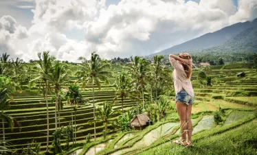 tour in bali, tegallalang rice terrace