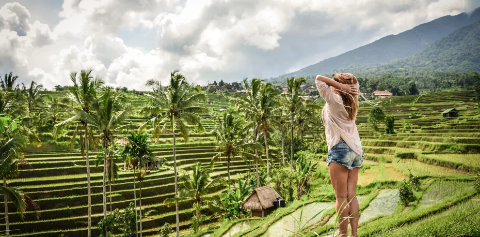 tour in bali, tegallalang rice terrace