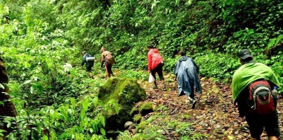 Tamblingan Lake Jungle Trekking in buleleng bali