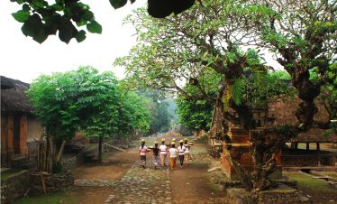 tenganan village in bali