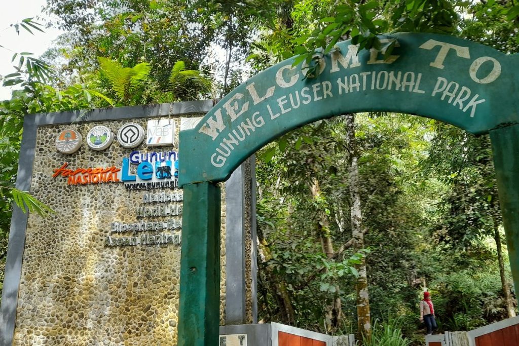 visiting the interior of the Leuser National Park forest