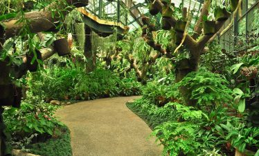 Cipanas Cianjur Floating Village – Puncak Pass Tea Plantation – Bogor Botanical Garden