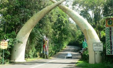 The iconic elephant tusk gate entrance surrounded by lush tropical forest at Taman Safari Indonesia, a popular destination for Bogor day trips offering wildlife and nature experiences.