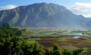 Sembalun Lombok Jungle Trekking