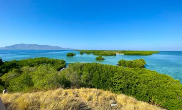 Explorer Whale Sharks and Island Dreams