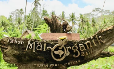 Mai Organic Farm Tour + Cooking Class