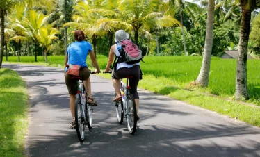 Batukaru & Jatiluwih Ebike Cycling Tour