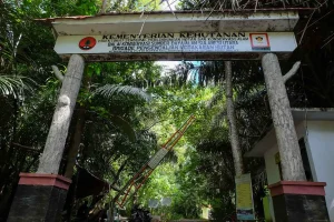 Entrance gate surrounded by tropical forest at Tangkoko National Park in North Sulawesi, Indonesia.