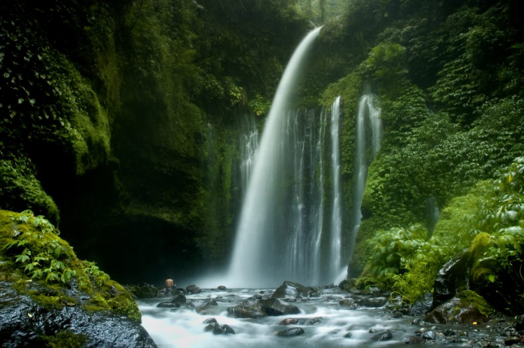 Tiu Kelep A lush tropical waterfall cascading into a clear river surrounded by dense green forest, capturing the untouched beauty of hidden waterfalls in Lombok.