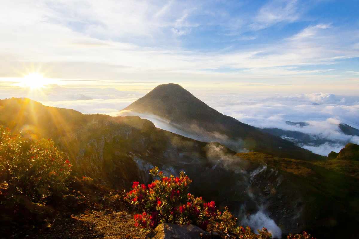 Sunrise view from a volcanic mountain summit with misty valleys and colorful alpine vegetation, highlighting breathtaking scenery along one of the best treks in Indonesia.