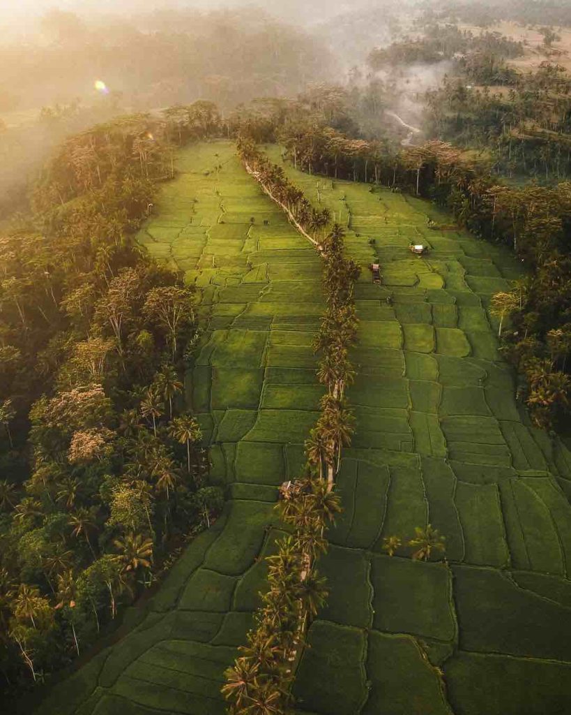Bali Rice Terrace Trekking