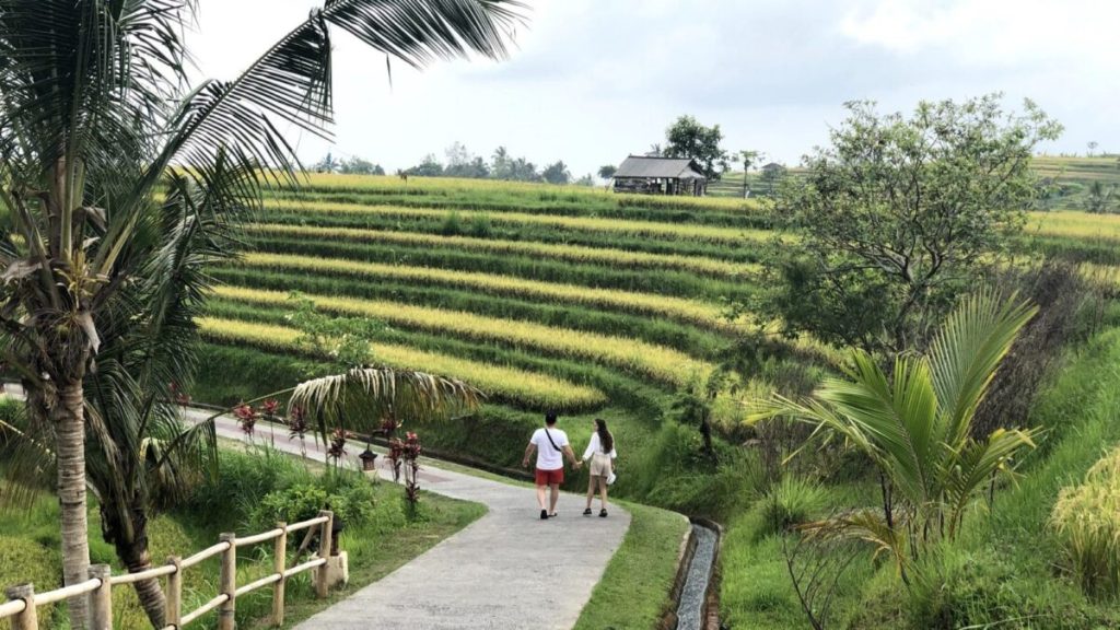 Bali Rice Terrace Trekking